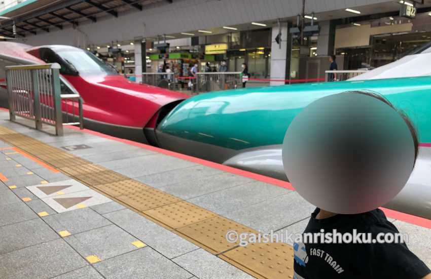 東京駅でこまちとはやぶさの連結を見学