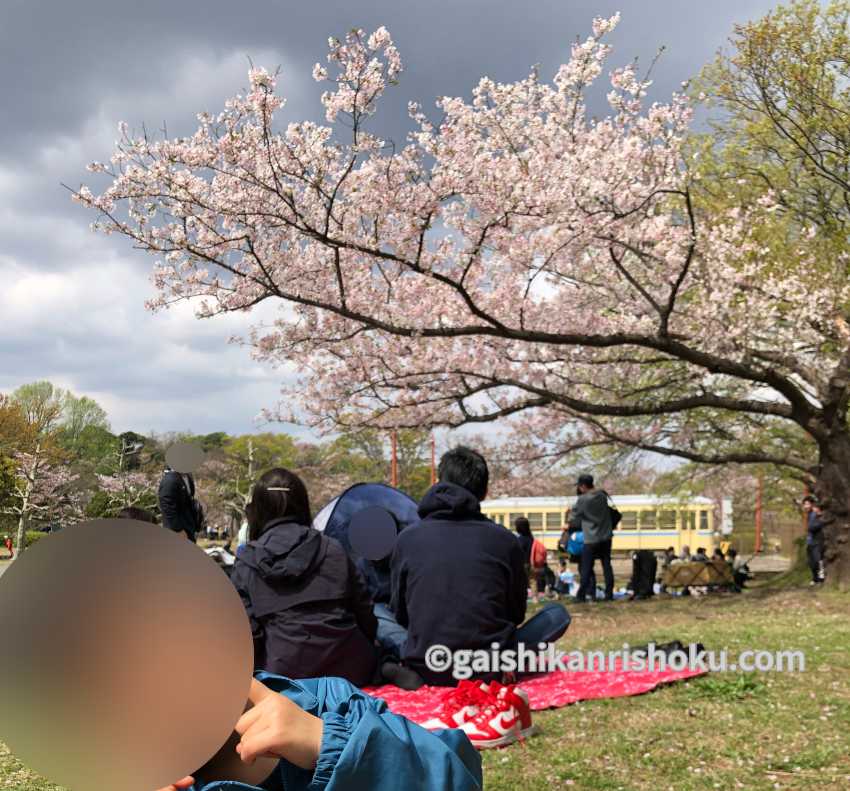 横浜・湘南で自転車の練習におすすめの公園　久良岐公園でお花見