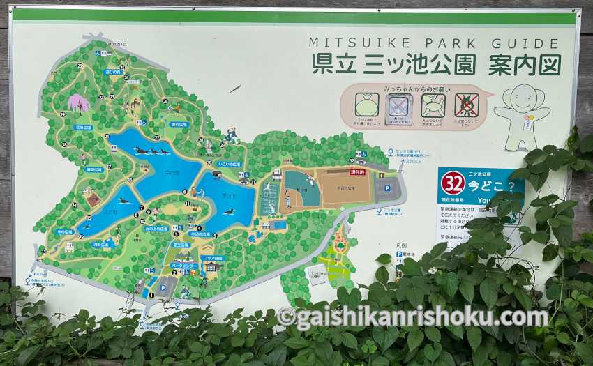 横浜・湘南で自転車の練習におすすめの公園　三ツ池公園