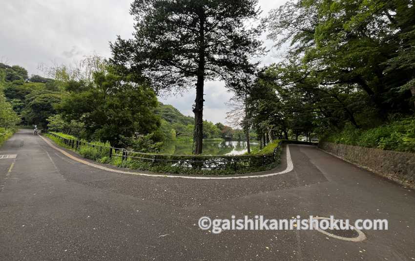 横浜・湘南で自転車の練習におすすめの公園　三ツ池公園