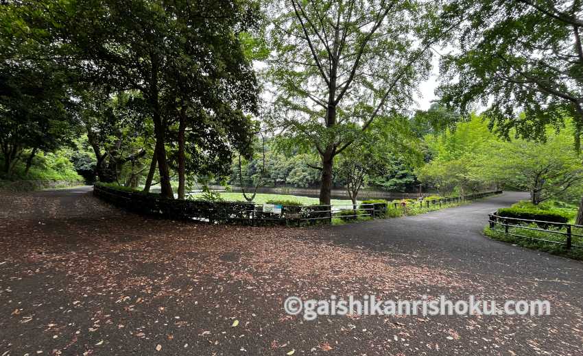 横浜・湘南で自転車の練習におすすめの公園　三ツ池公園