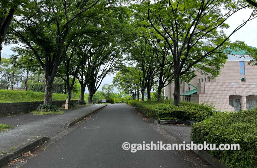 横浜・湘南で自転車の練習におすすめの公園　保土ヶ谷公園