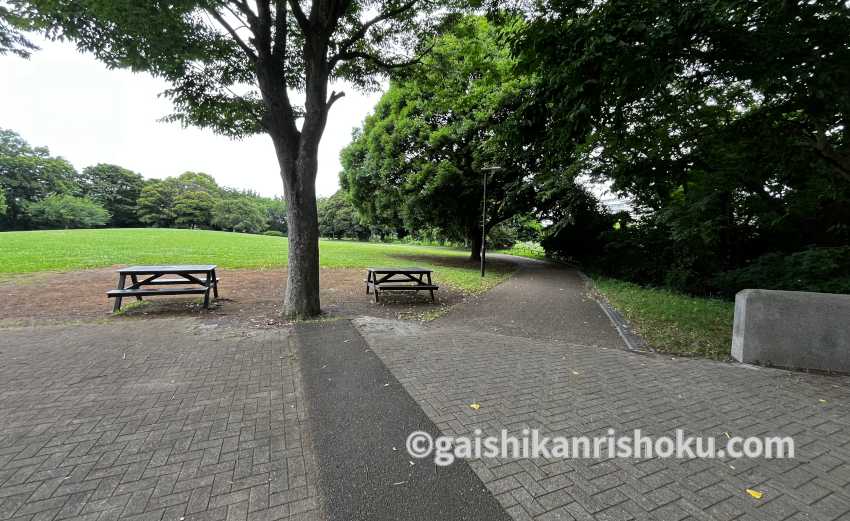 横浜・湘南で自転車の練習におすすめの公園　保土ヶ谷公園のピクニック広場