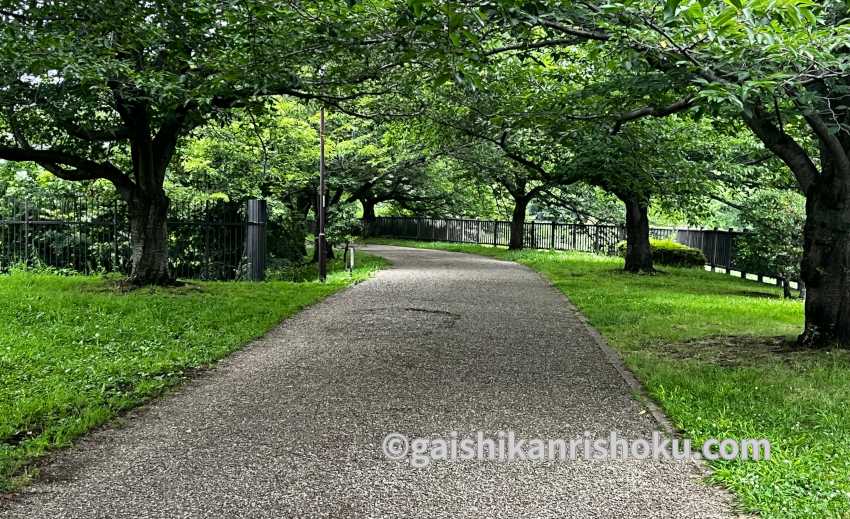 横浜・湘南で自転車の練習におすすめの公園　引地川親水公園