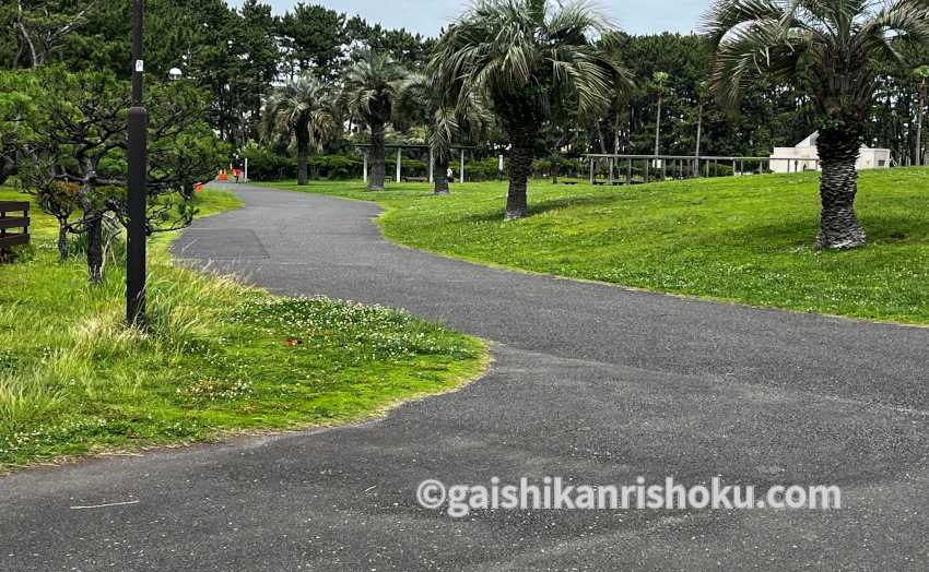 横浜・湘南で自転車の練習におすすめの公園　辻堂海浜公園・交通公園