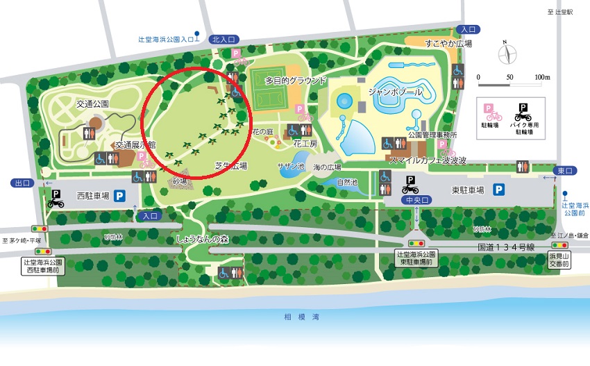 横浜・湘南で自転車の練習におすすめの公園　辻堂海浜公園・交通公園