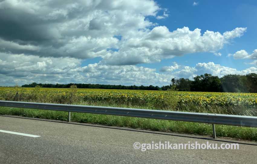 フランスの高速道路の沿道風景