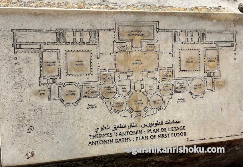 MSCグランディオーサ(ベリッシマ姉妹船)乗船記⑤　アントニヌス浴場の地図