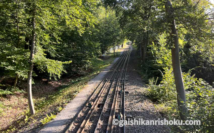 ネロベルク登山鉄道　山頂に上っていく途中の美しい緑