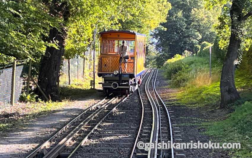 ネロベルク登山鉄道　2台の車両がすれ違う場所